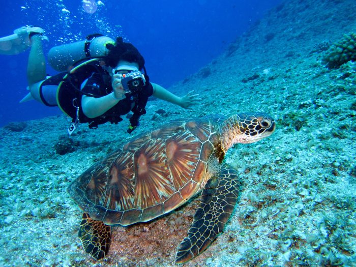 Scuba Diver in Belize on Affordable Honeymoon