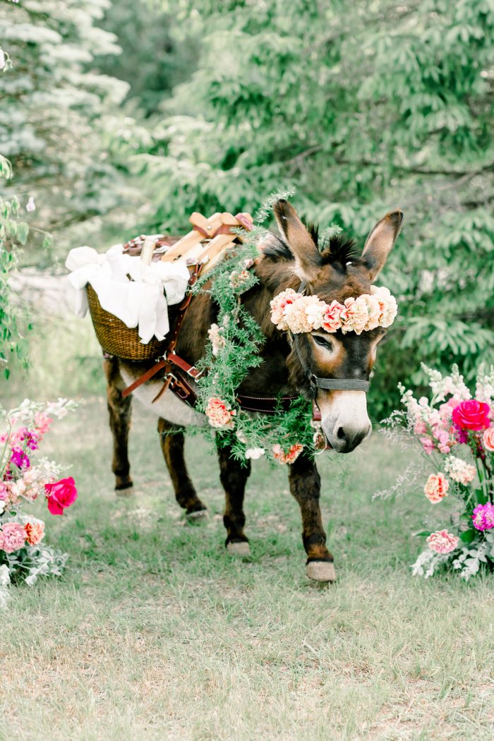 Cute Donkey Carrying Booze and Beverages at Real Wedding