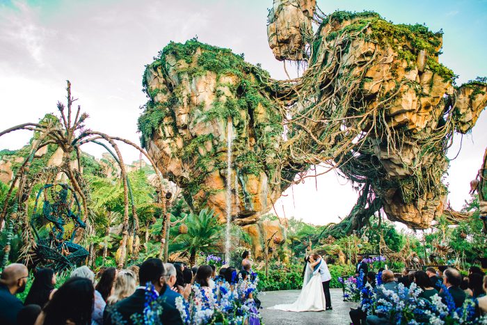 Romantic Wedding Destination Pandora in Disney World's Animal Kingdom