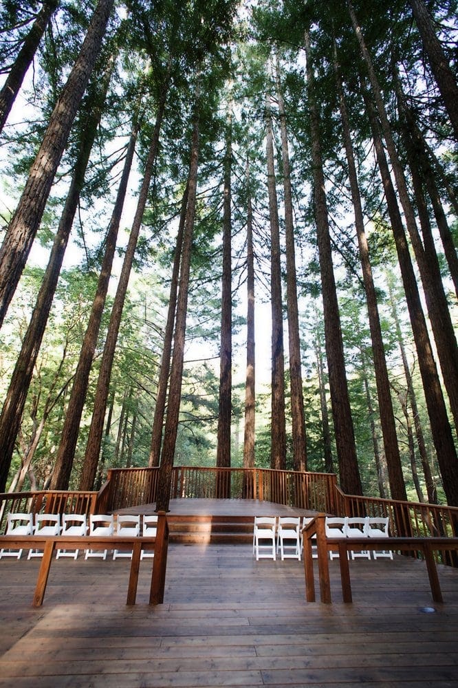 11 Unique Boho Wedding Themes - Have your boho wedding in the middle of the California Redwoods!