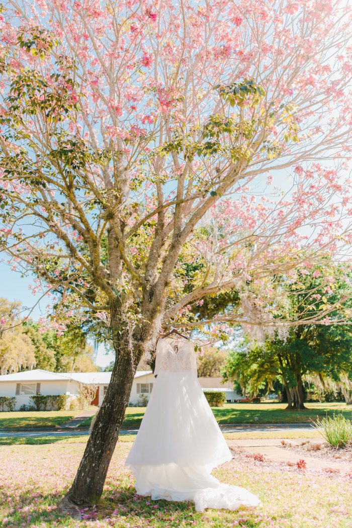 Lace Ball Gown Wedding Dress Called Mallory Dawn by Maggie Sottero Hanging on Tree at Real Wedding