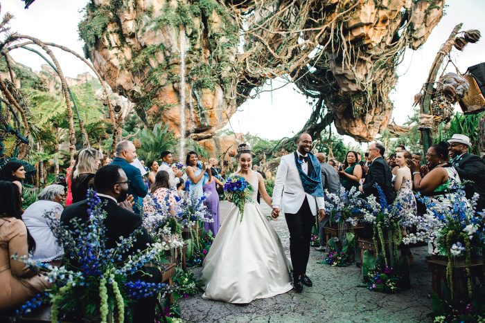 Pandora World of Avatar  Florida Weddings  Disneys Fairy Tale Weddings