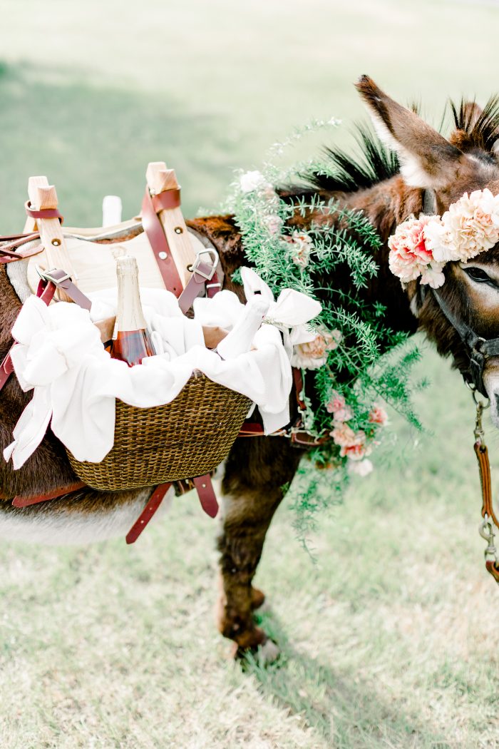 A Cute Donkey Carrying Alcohol in Baskets for a Micro Wedding