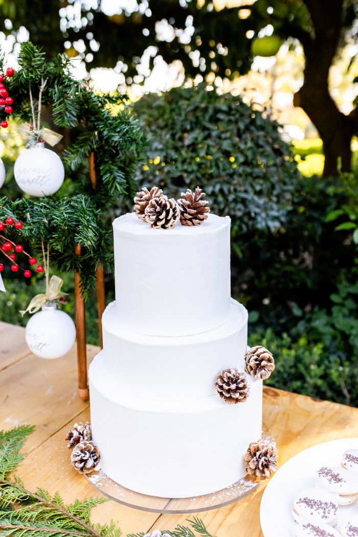Minimalist White Winter Wedding Cake with Pine Cones