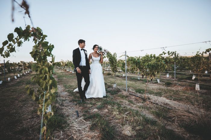 Bride and Groom Walking in Vineyard in the Swan Valley Wine Region in Australia for Their Winery Wedding
