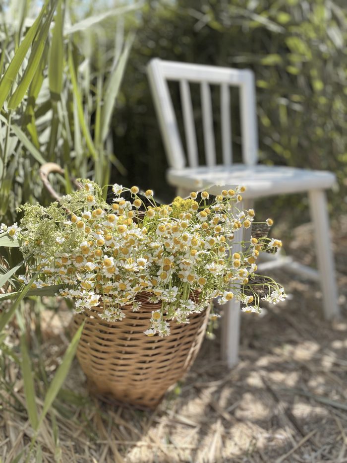 Cottagecore Chair and Basket of Wild Flowers for Bridal Shoot
