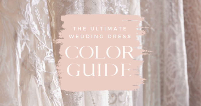 Wedding Dress Shades of White and Other Colors for Wedding Dress Color Guide