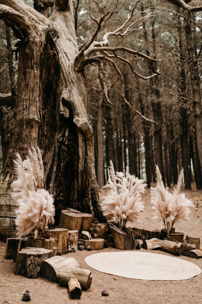 DIY Wedding Back Drop With Pampas Grass