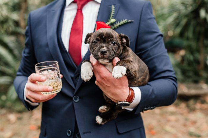 Groom Wearing A Red Tie Holding A Glass Of Whiskey And A Puppy