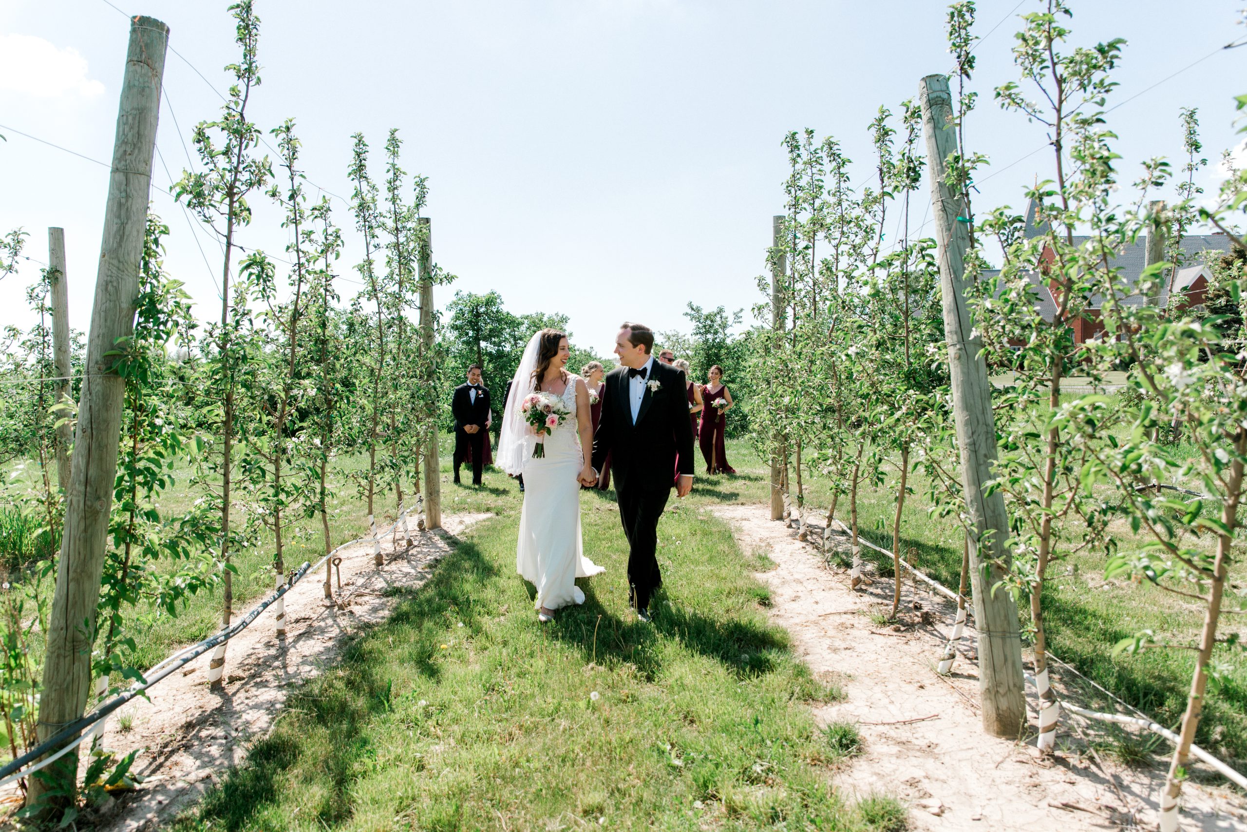 Mariée marchant dans le vignoble de mariage vert avec le marié portant une robe de mariée ajustée et évasée appelée Aidan par Sottero et Midgley