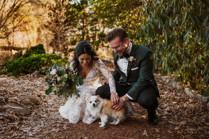 Bride In Fit And Flare Wedding Dress Called Dakota By Sottero And Midgley With Dog Wedding