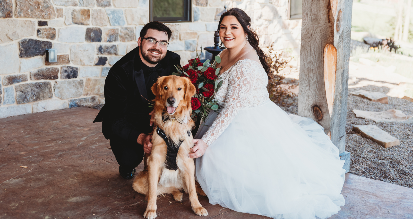 dog bridesmaid dress