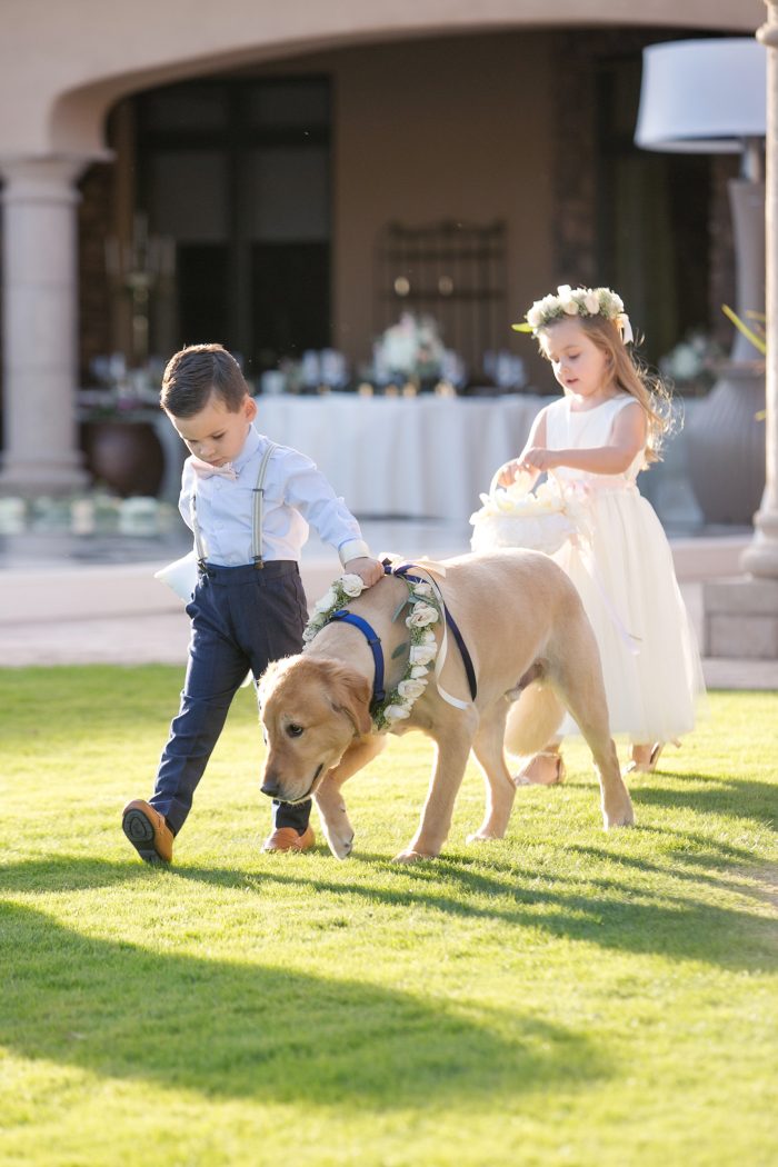 Dog Wedding Walking Down The Aisle With A Flower Girl And Ringer Bearer
