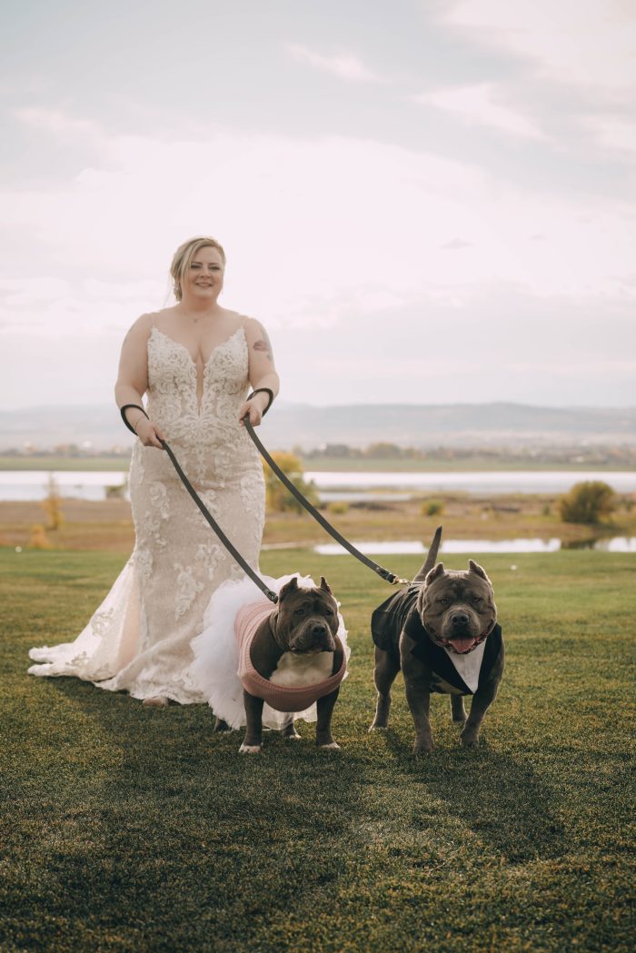 Bride In Tuscany Royale Wedding Dress With Dog Wedding Animals