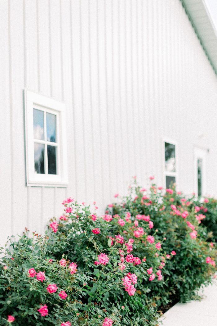 Ranch Venue for LGBTQ+ Couples Aesthetic