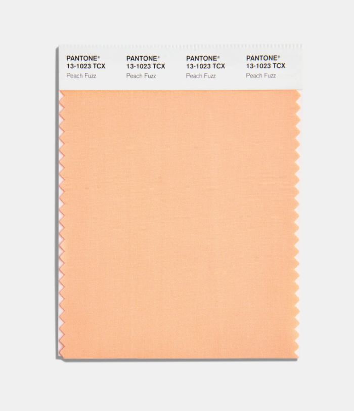 Swatch of the Pantone Color of the Year 2024, Peach Fuzz.