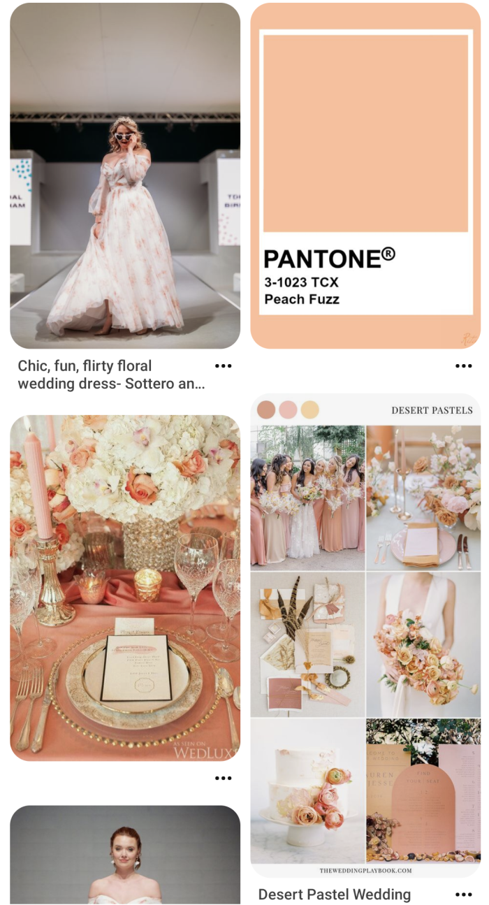 Pantone Color of the Year 2024 Peach Fuzz Pinterest Board
