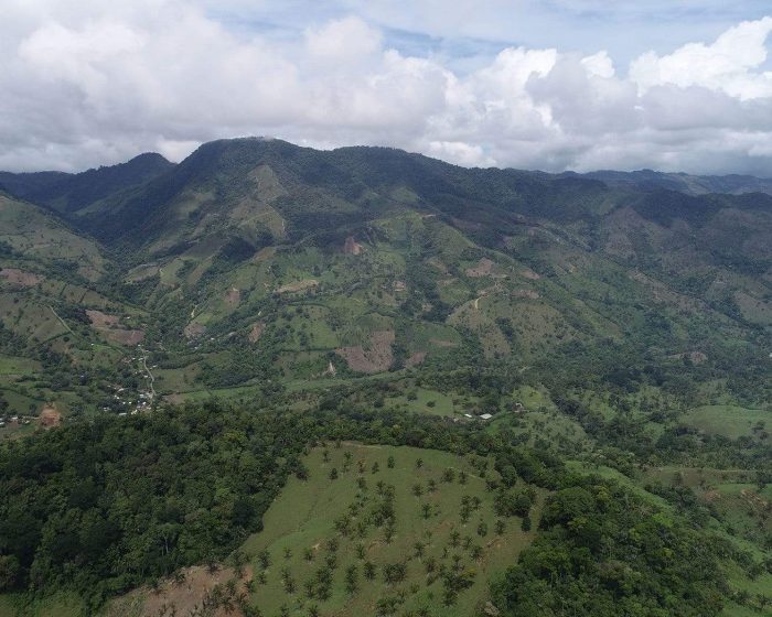 Costa Rica landscape that Maggie Sottero is helping to regrow through their reforestation efforts