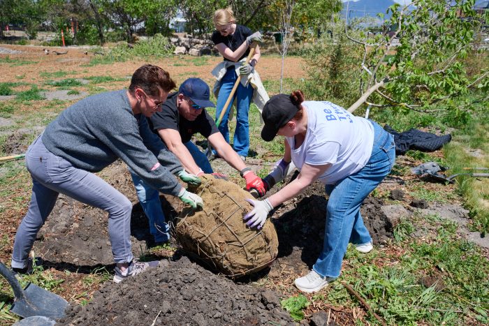 Maggie Sottero employees work together to plant a tree in an outdoor green space, carefully lowering a burlap-wrapped root ball into a freshly dug hole while another team member stands behind with a shovel.