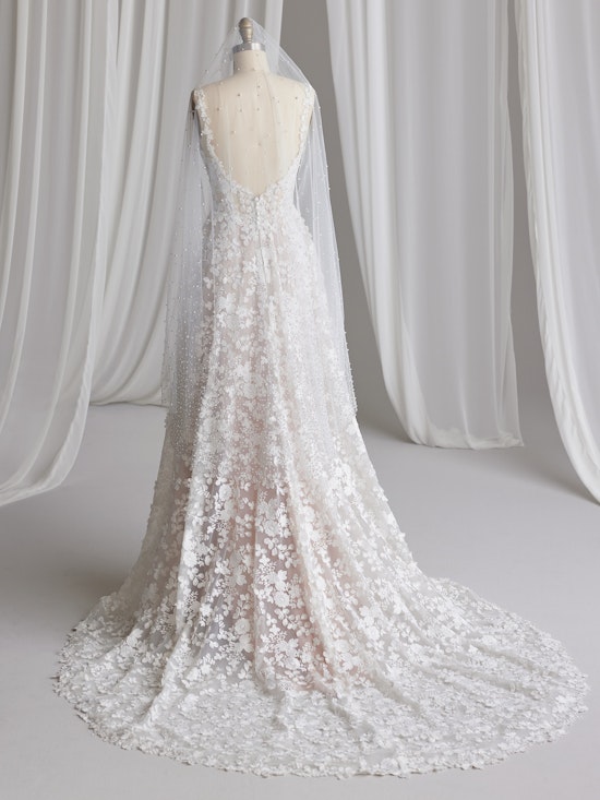 Ladonna Veil