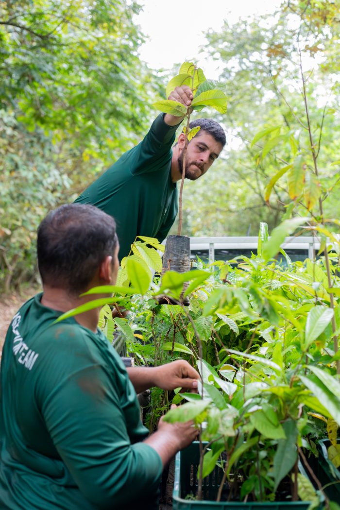 Two people in a lush green nursery examine and handle young tree saplings, with one person adjusting a plant in a black grow bag while another holds leaves in the foreground.