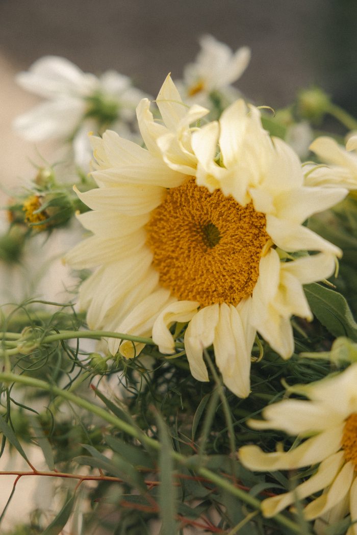 Close-up of pale yellow sunflowers and wild greenery, highlighting the organic textures and soft color palette that complement a romantic boho wedding aesthetic.