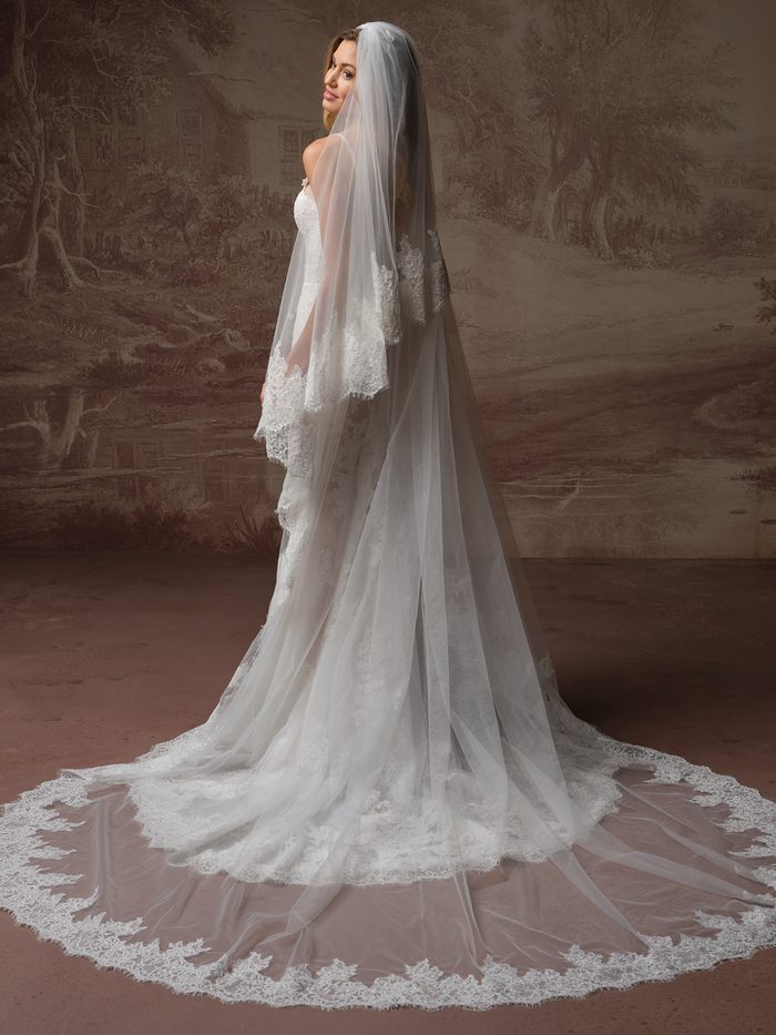 Esmeralda Lane wedding dress paired with a cathedral-length veil featuring floral lace trim and a dramatic scalloped train viewed from the back.